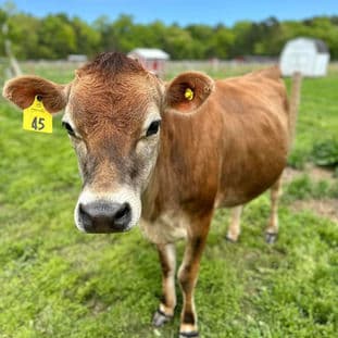 Homepage Gallery Image 5