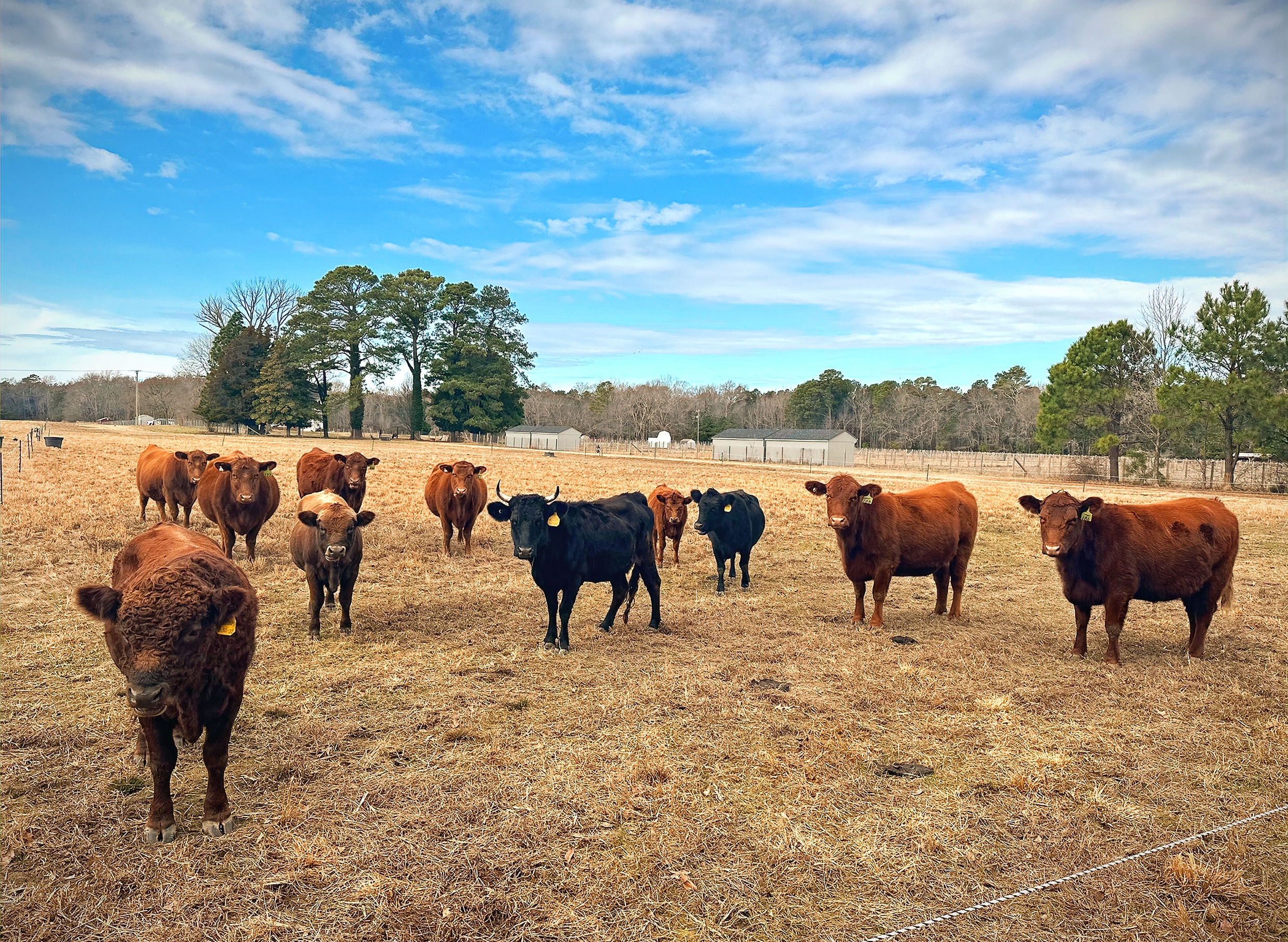 Salt + Arrow Ranch Hero